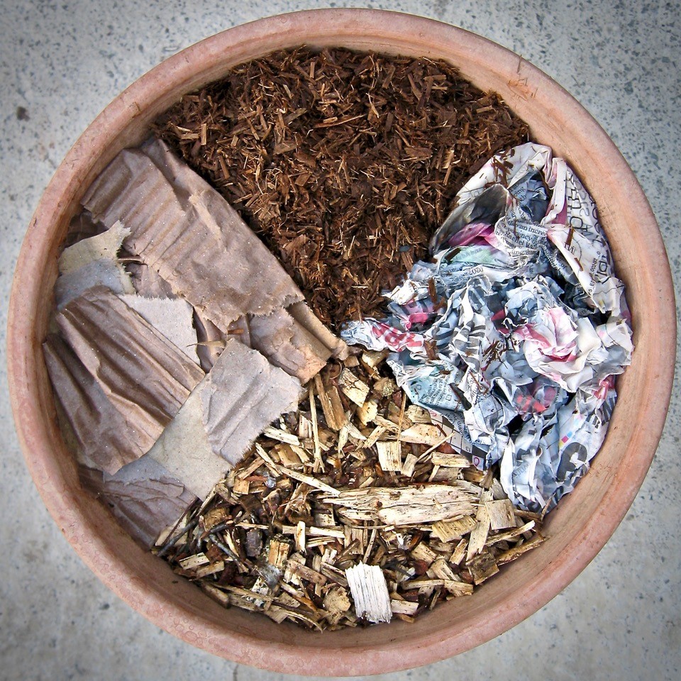 Using cardboard and newspapers for gardening