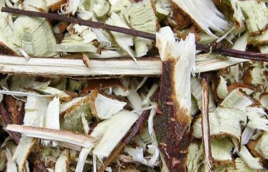 Chipped branch wood is a soil reviver.