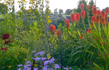 Summer into autumn as it should be.