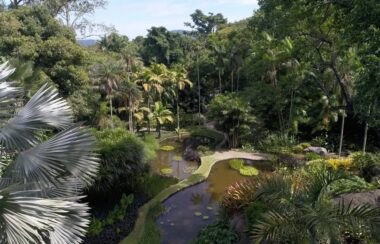 BurleMarx Iphan